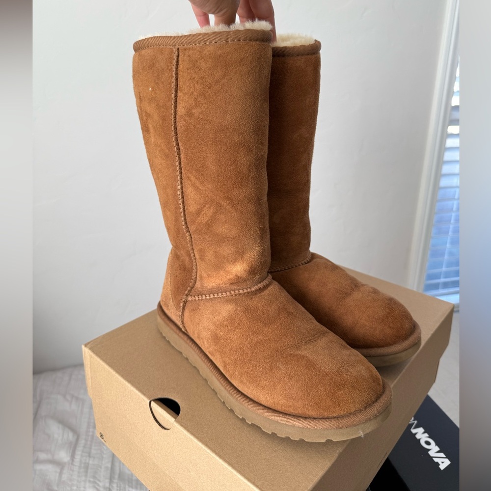 Classic Tall Chestnut Uggs